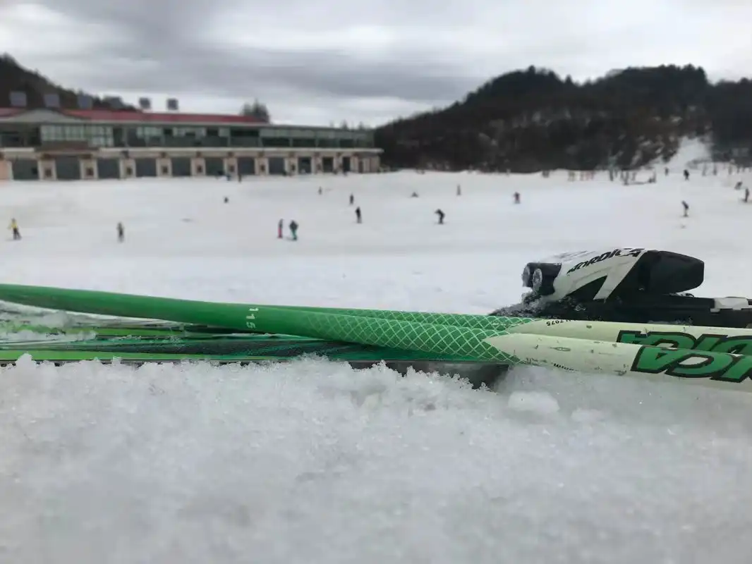 第十三站，神农架